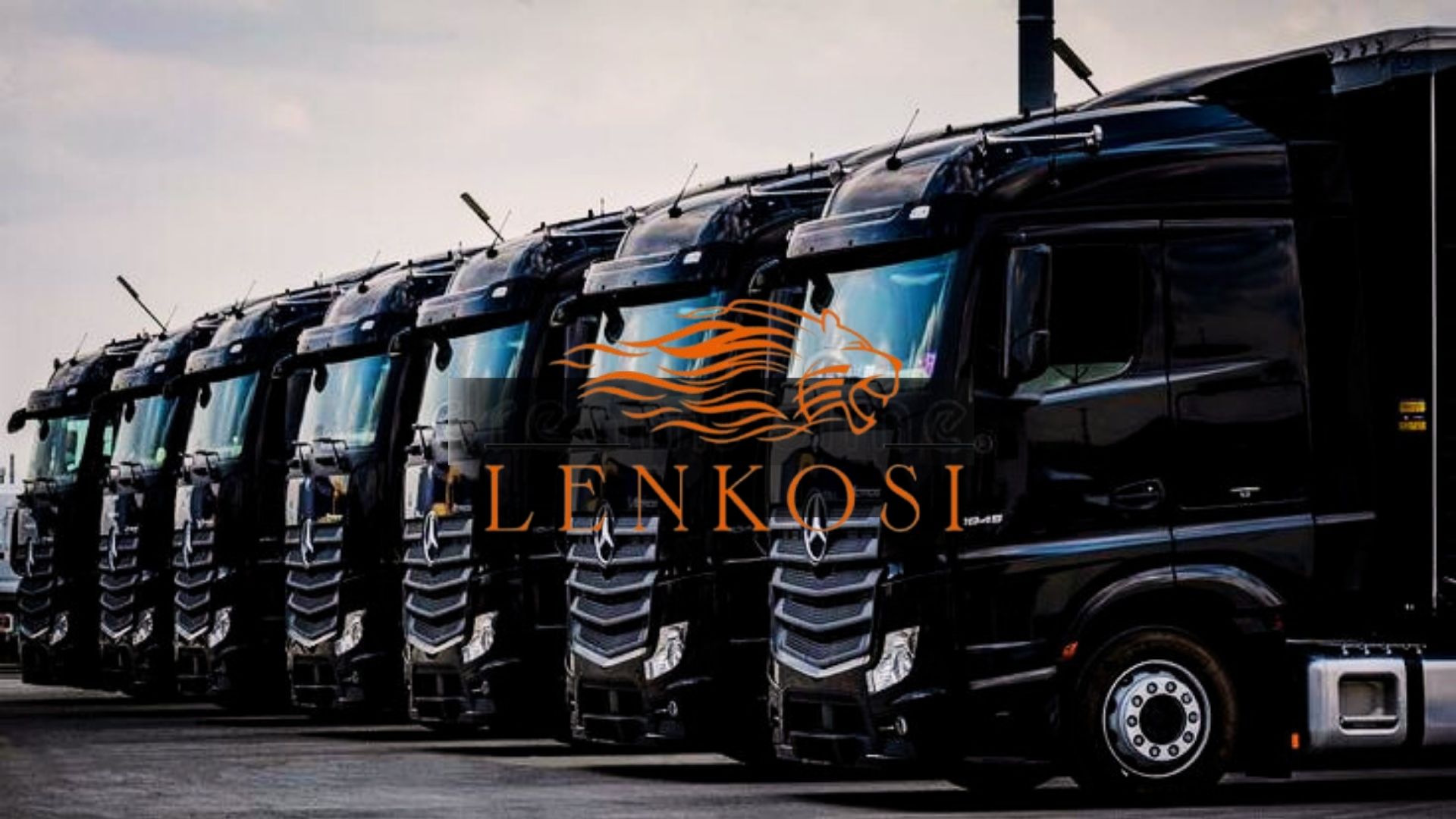 City Link Transit Fleet